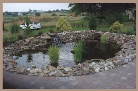 pond